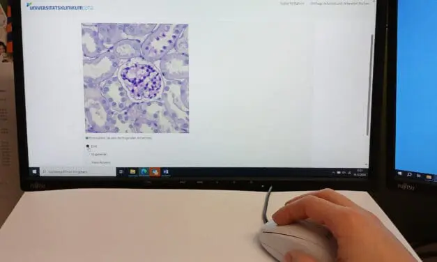 Täuschend echt: KI-generierte Histologiebilder