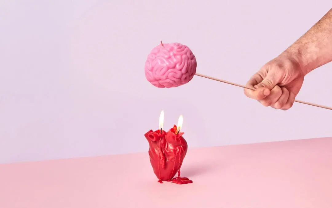 Hitze und Gehirn: Je wärmer die Umgebung, desto mehr feuern die Nervenzellen