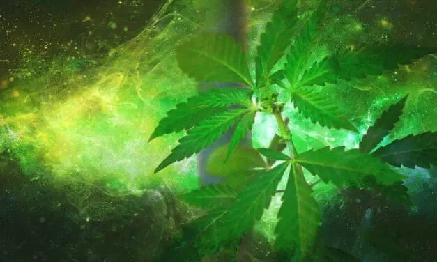 11. Alternativer Drogen- und Suchtbericht (ADSB) erschienen