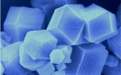 Kristalle erkennen verdorbene proteinreiche Lebensmittel