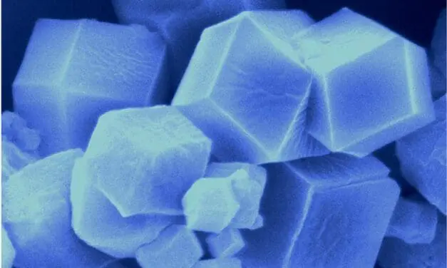 Kristalle erkennen verdorbene proteinreiche Lebensmittel