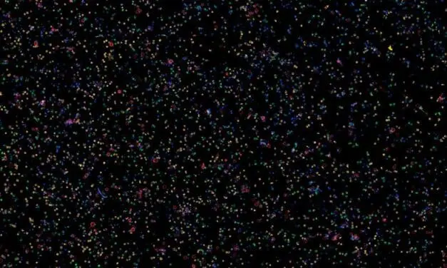 Rheumatoide Arthritis: Blutproben sagen Therapieerfolg voraus