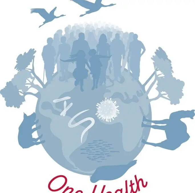 One Health: Internationales Symposium des Leibniz Center Infection