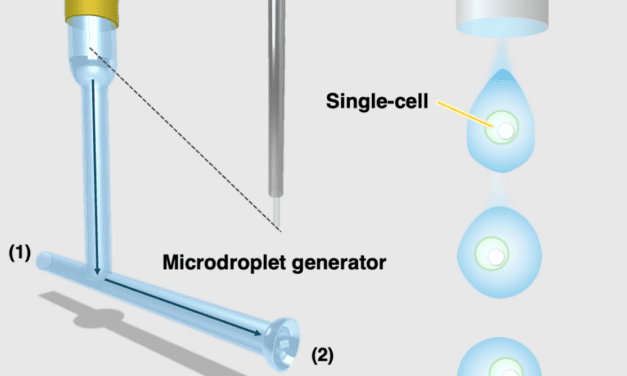 Einzelzell-Elementaranalyse mittels induktiv gekoppelter Plasma-Massenspektrometrie (ICP-MS)