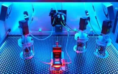 Fraunhofer-Durchbruch: Automatisierte Langzeitkultivierung von Stammzellen gelungen