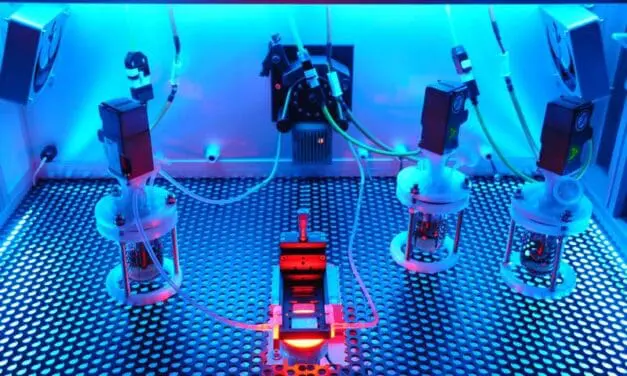 Fraunhofer-Durchbruch: Automatisierte Langzeitkultivierung von Stammzellen gelungen