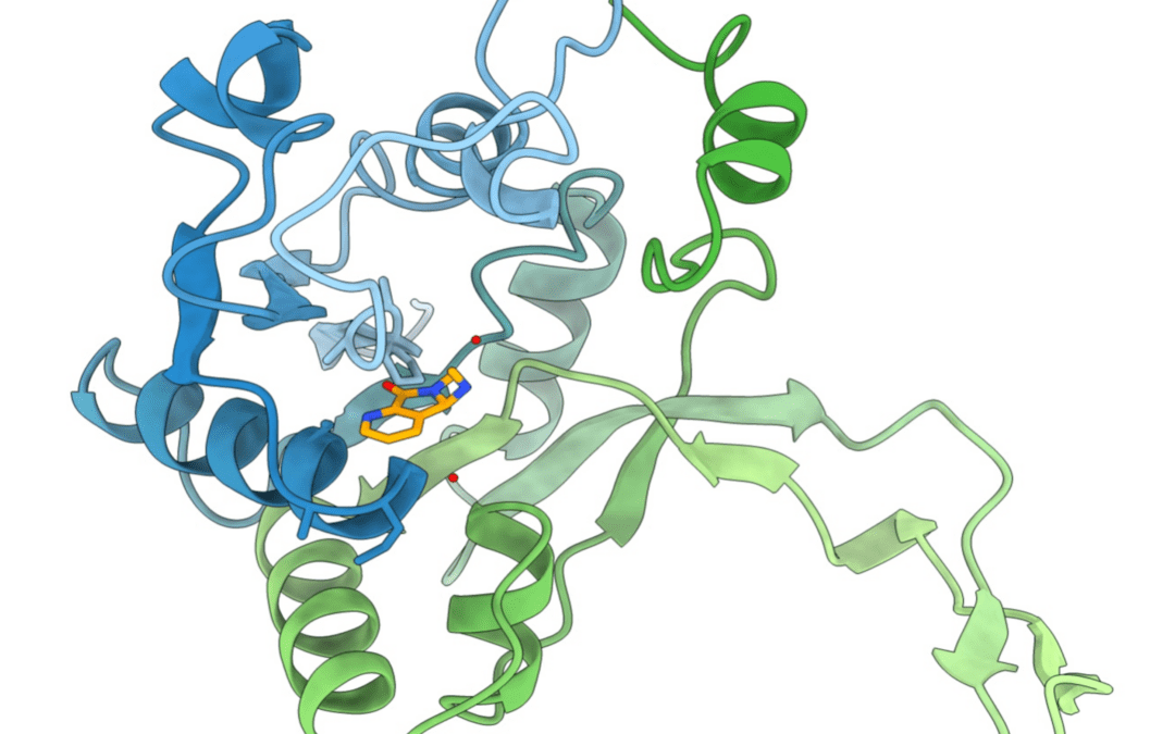 Innovative Wirkstoffkandidaten greifen Bakterien gezielt an, ohne Körperzellen zu schädigen