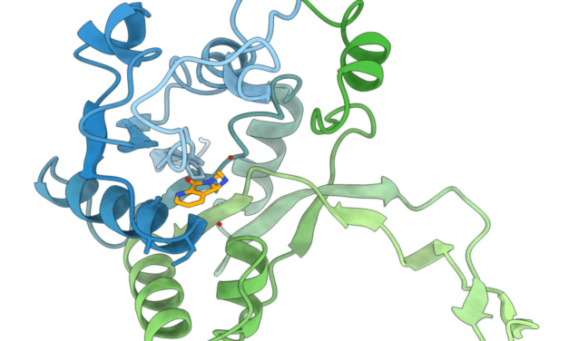 Innovative Wirkstoffkandidaten greifen Bakterien gezielt an, ohne Körperzellen zu schädigen