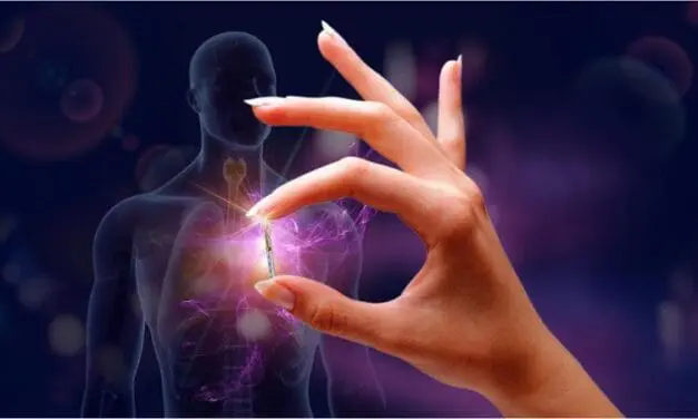 Strahlentherapie soll direkt im Körper starten