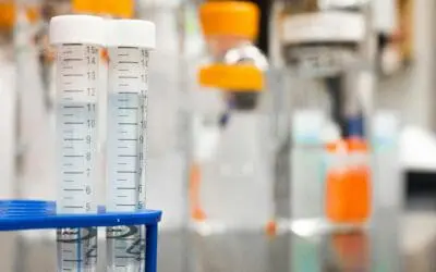 Hepatitis E: Bemnifosbuvir hemmt Virusvermehrung