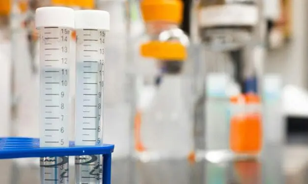 Erfolg auf dem Weg zur Hepatitis-C-Impfung: Forschenden gelingt Adaption eines Hepatitis-C-Virus