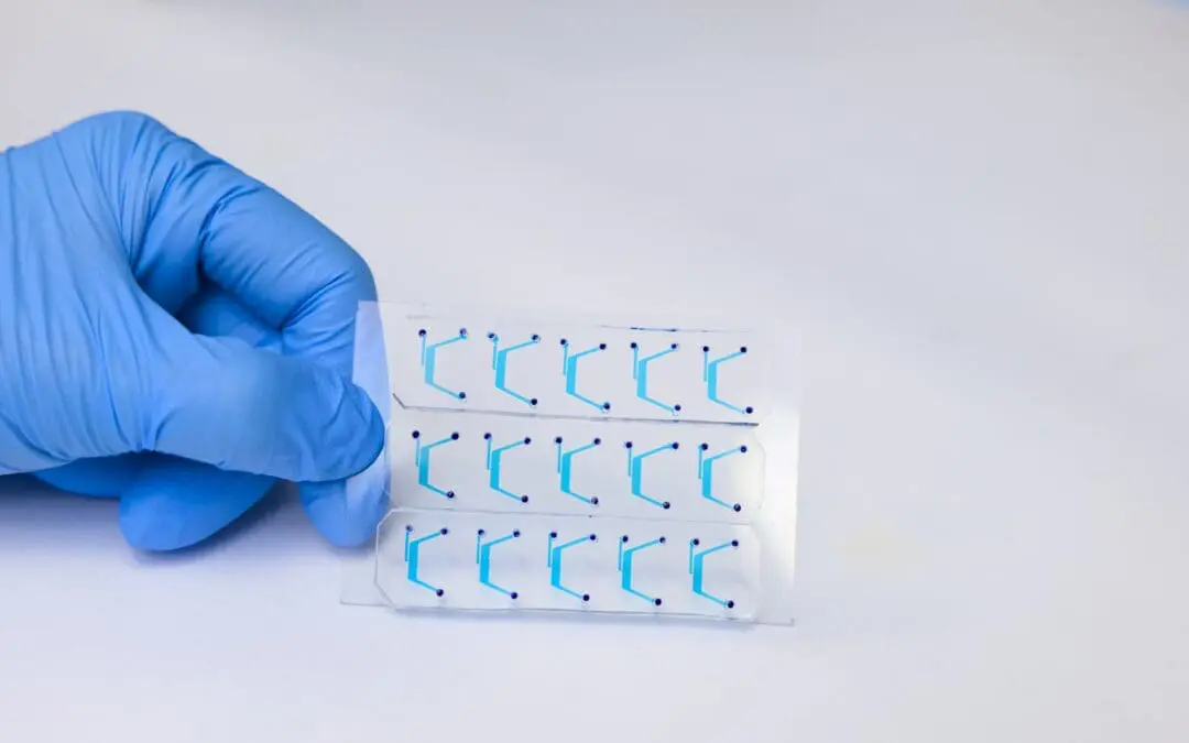 GMoC-System: 3D Darm-Abbild auf einem Chip