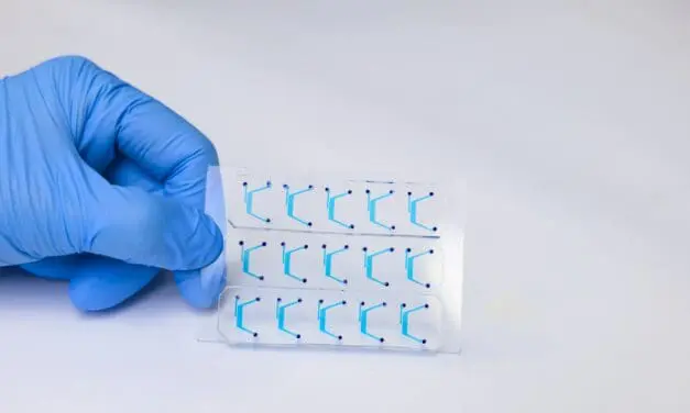 GMoC-System: 3D Darm-Abbild auf einem Chip