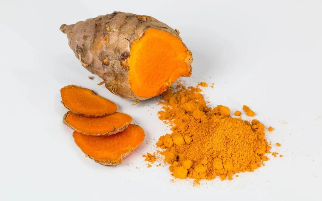 Photodynamische Inaktivierung: Curcumin und Licht verringern die Antibotikaresistenz