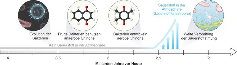 Die Evolution der Sauerstoff-Atmung Milliarden Jahre vor heute. Erst vor rund 2,4 Milliarden Jahren begannen Organismen Sauerstoff für ihren Stoffwechsel zu nutzen. Die Anlage dazu war jedoch bei Bakterien schon lange vorher vorhanden. | Copyright: Felix Elling, Uni Kiel