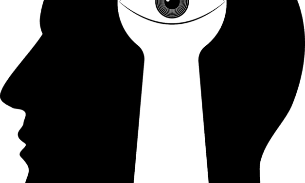 Funktionsverlust-Varianten in HECTD2 und AKAP11 bergen Risiko für bipolare Störung