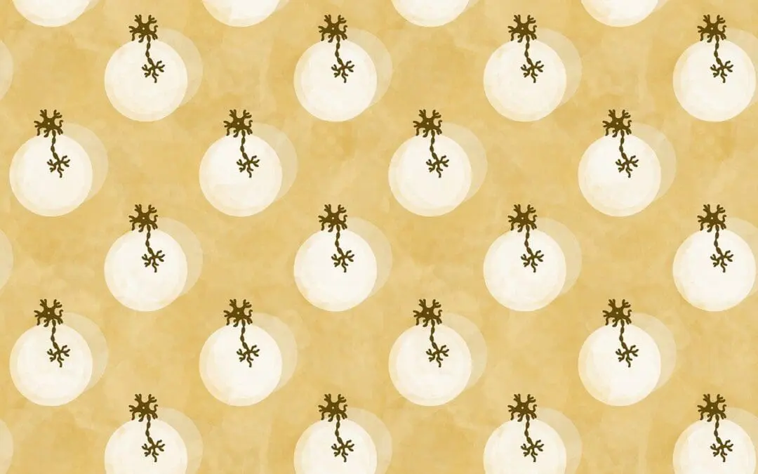 Visueller Kortex: Forschende weisen erstmals säulenartigen Aufbau funktionsgleicher Nervenzellen nach