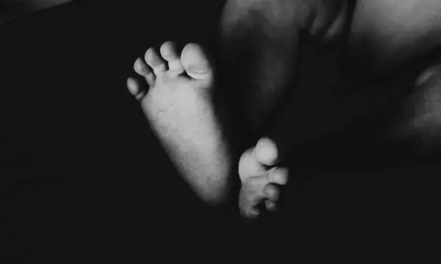 Protein Mitofusin 2 schützt Zellen: Entdeckung macht Hoffnung auf Therapie von Charcot-Marie-Tooth-Krankheit