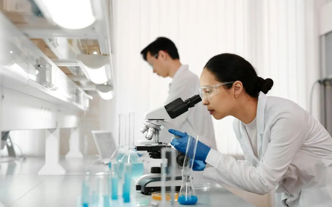 Künstliche Intelligenz hilft bei Segmentierung von Zellen