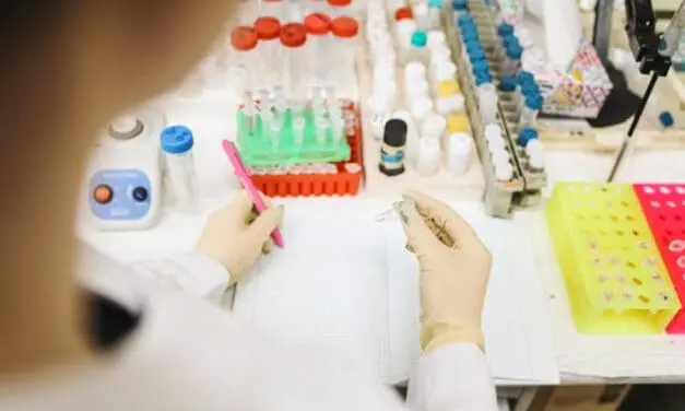 Sensation: Nachhaltiges Verfahren revolutioniert Synthese bioaktiver Moleküle