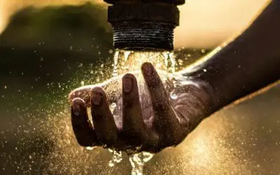 Studie über Wasserwirtschaft fordert  Transformation in der Landwirtschaft und schnelle Umsetzung von Innovationen