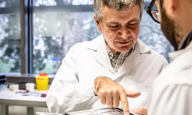 Neuronale Muster reorganisieren sich im Schlaf