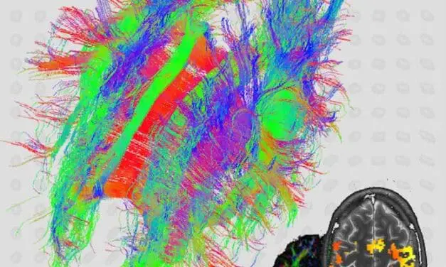 BLE: Weierstraß-Institut übersteht Evaluation