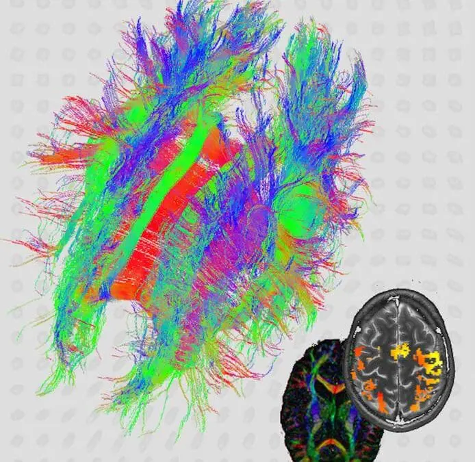 BLE: Weierstraß-Institut übersteht Evaluation