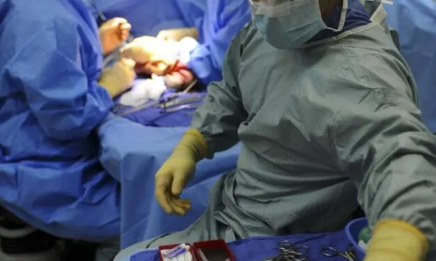 Antikörper aktiviert Immunsystem gegen Bauchspeicheldrüsenkrebs