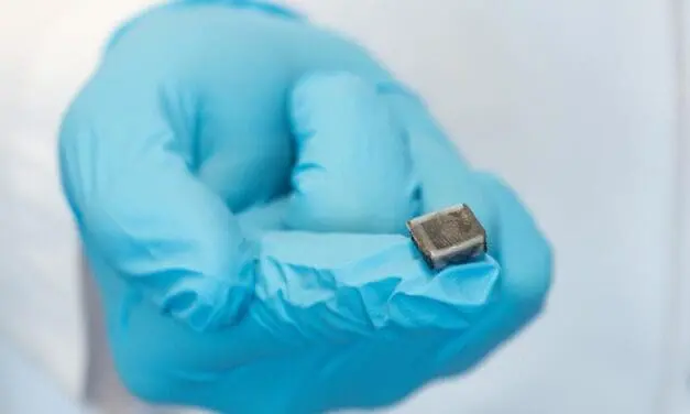 Schweiz: Muskeln aus dem Drucker gehen an den Start