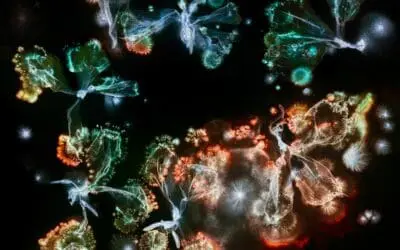 Fotoausstellung „Microverse“ eröffnet im Haus am Kleistpark in Berlin