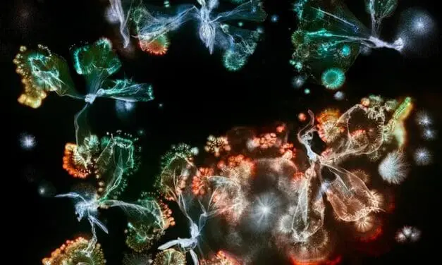 Fotoausstellung „Microverse“ eröffnet im Haus am Kleistpark in Berlin