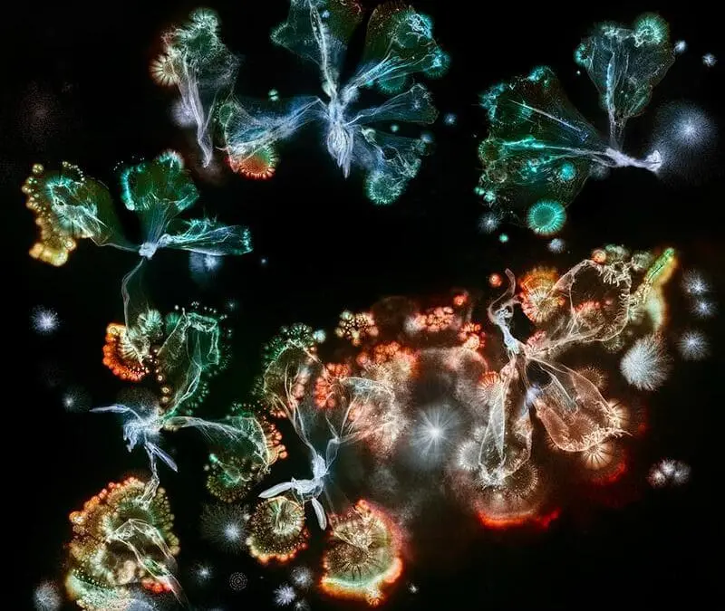 Fotoausstellung „Microverse“ eröffnet im Haus am Kleistpark in Berlin