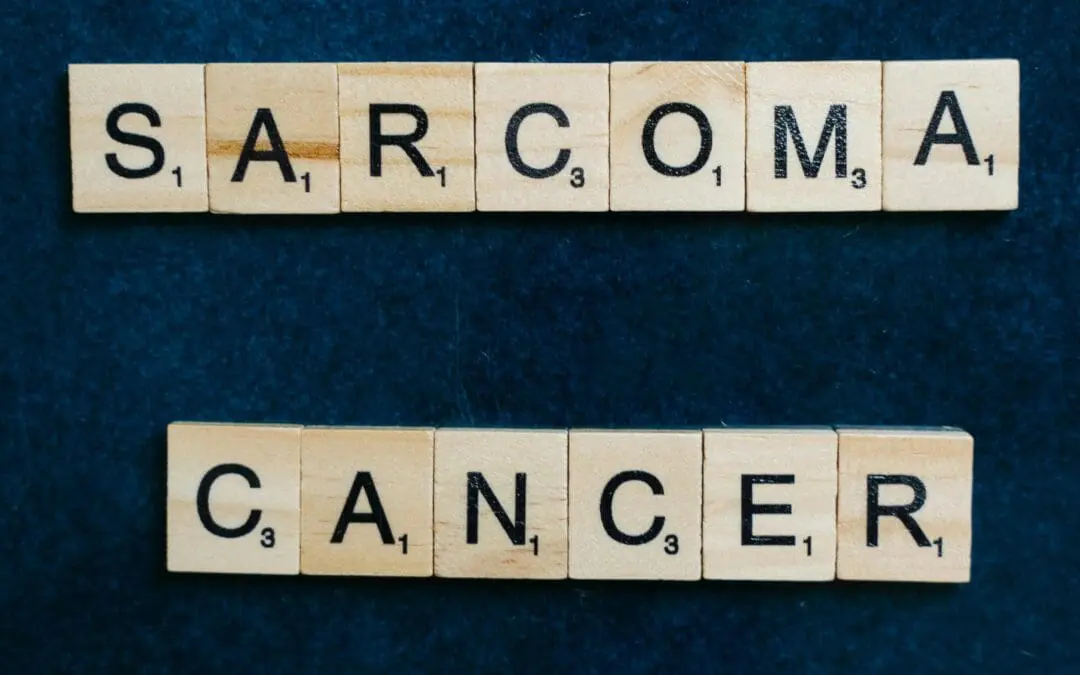 T-Zell-Therapie: Sarkomforschung erhält 460.000 Euro Förderung