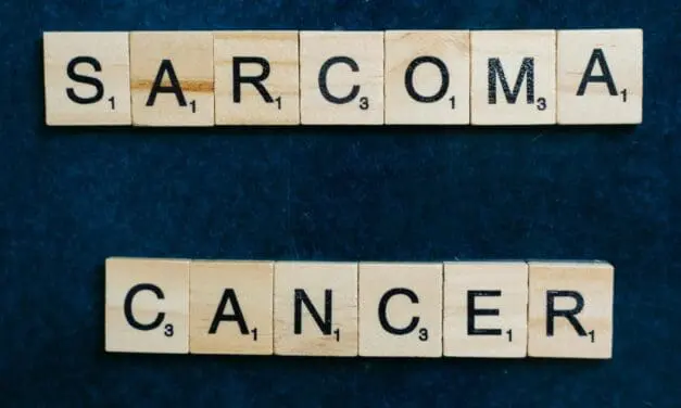 T-Zell-Therapie: Sarkomforschung erhält 460.000 Euro Förderung