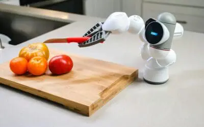 Humanoider Roboter TALOS soll menschenähnliches Lernen aufklären helfen