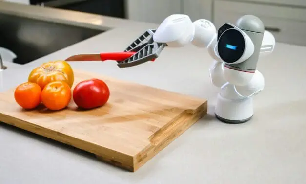 Humanoider Roboter TALOS soll menschenähnliches Lernen aufklären helfen