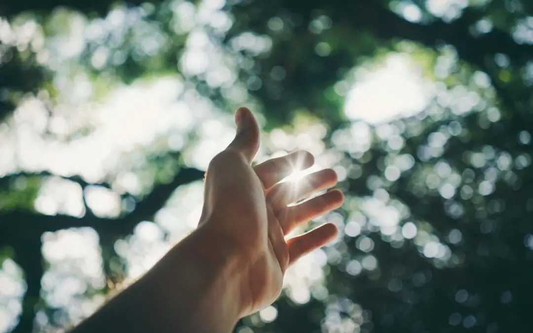 Bauchspeicheldrüsenkrebs: Neue Wirkstoffkombination macht Hoffnung