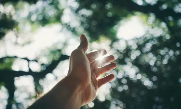 Bauchspeicheldrüsenkrebs: Neue Wirkstoffkombination macht Hoffnung