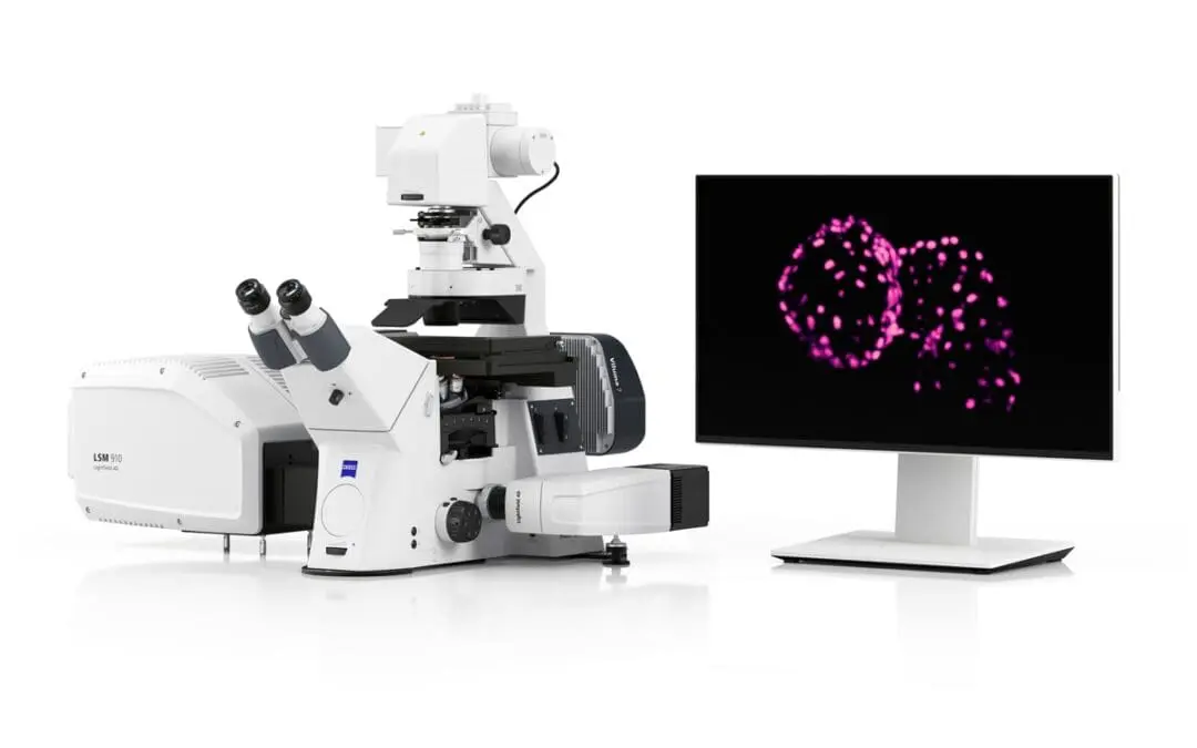 4D-Bildgebung ohne Zeitverzögerung möglich