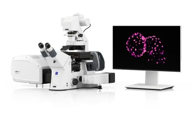4D-Bildgebung ohne Zeitverzögerung möglich