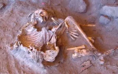 Analyse von 7000 Jahre alter DNA geglückt