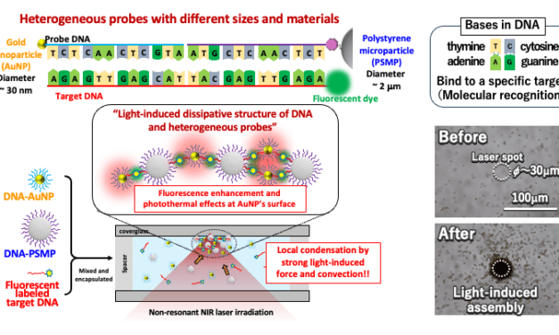 Genanalyse ohne PCR geht an den Start