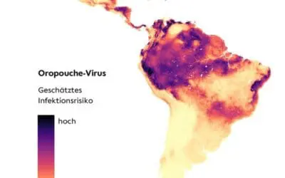 Oropouche-Virus in Lateinamerika weiter verbreitet als bisher bekannt