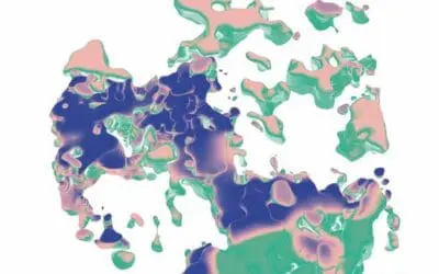 Pathologie 2.0: STIM kann Nachbarschaft eines Tumors in 3D kartieren 