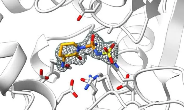Durchbruch in der Enzymforschung: Neuartige Wirkstoffklasse entwickelt