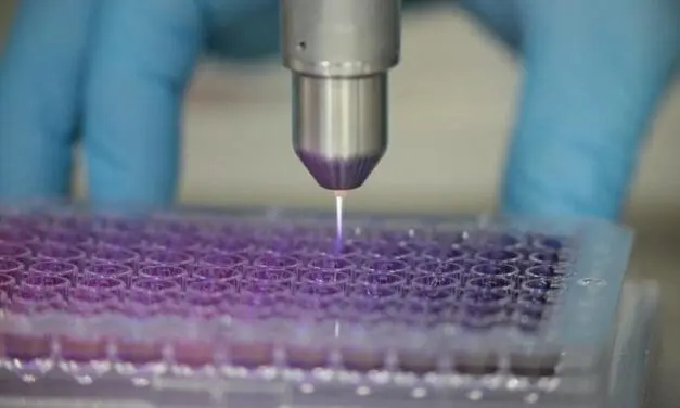 Mecklenburg-Vorpommern fördert Hautkrebsforschung mit „Target-H“