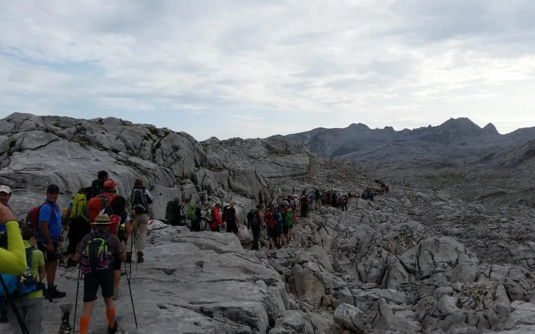 Reisezeit: Globale Kongresse und Messen für die Labormedizin im April 2025