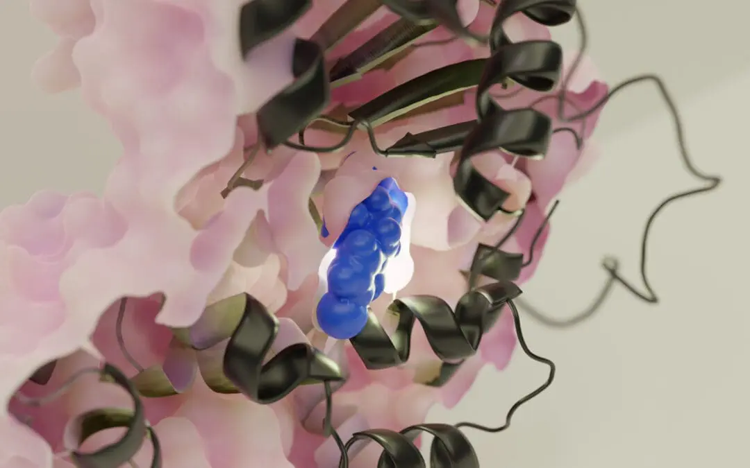 Forschungsteam stellt neuen Pathoblocker gegen Salmonelleninfektion vor