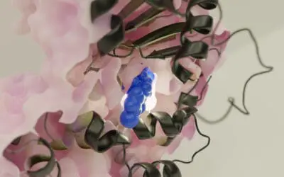 Forschungsteam stellt neuen Pathoblocker gegen Salmonelleninfektion vor